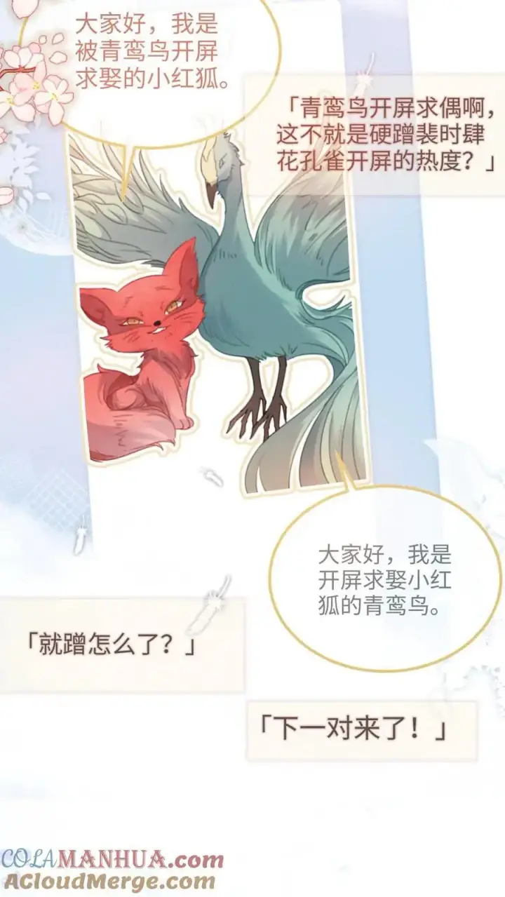 漫画《明撩！暗诱！和顶流影帝恋综撒糖》第123话 青鸾鸟x红狐狸第5张图