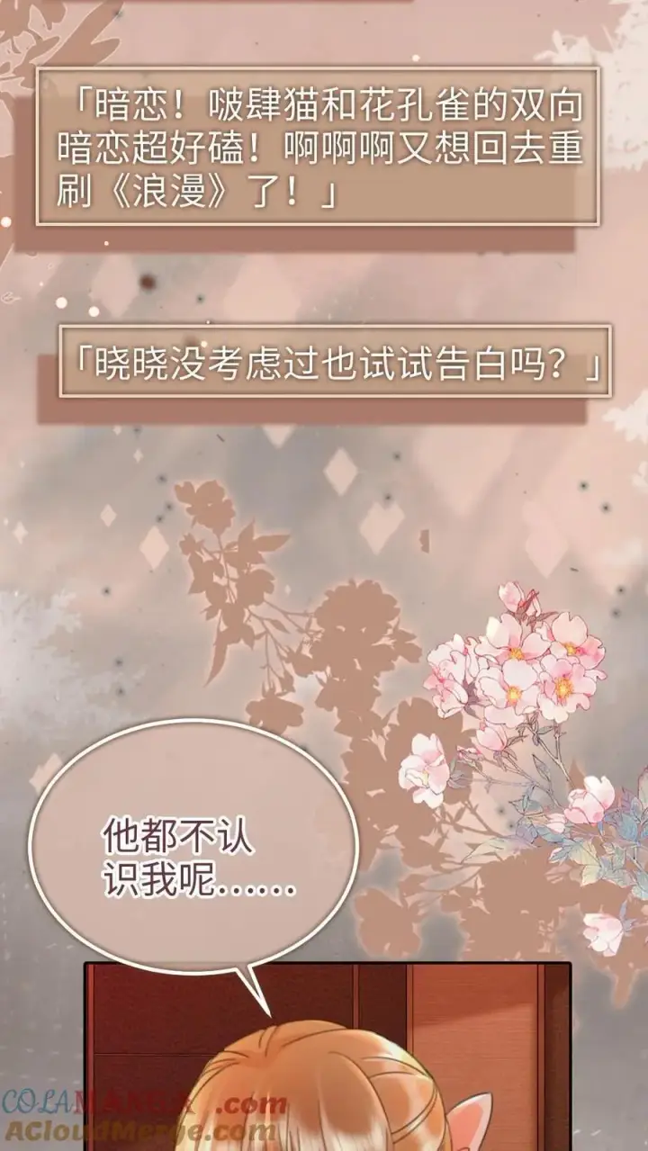 漫画《明撩！暗诱！和顶流影帝恋综撒糖》第206话 劲爆直播第5张图