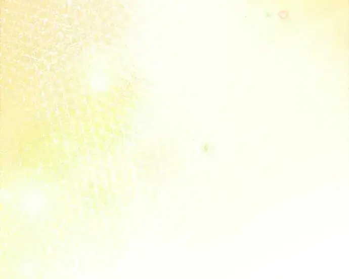 漫画《魔法学院的伪装教师》[第165话] 精灵同化第149张图