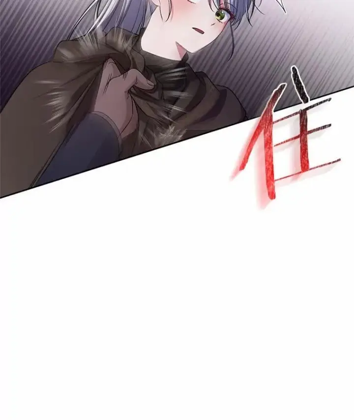 漫画《魔王的人偶管家》38.你在找伴侣？第29张图