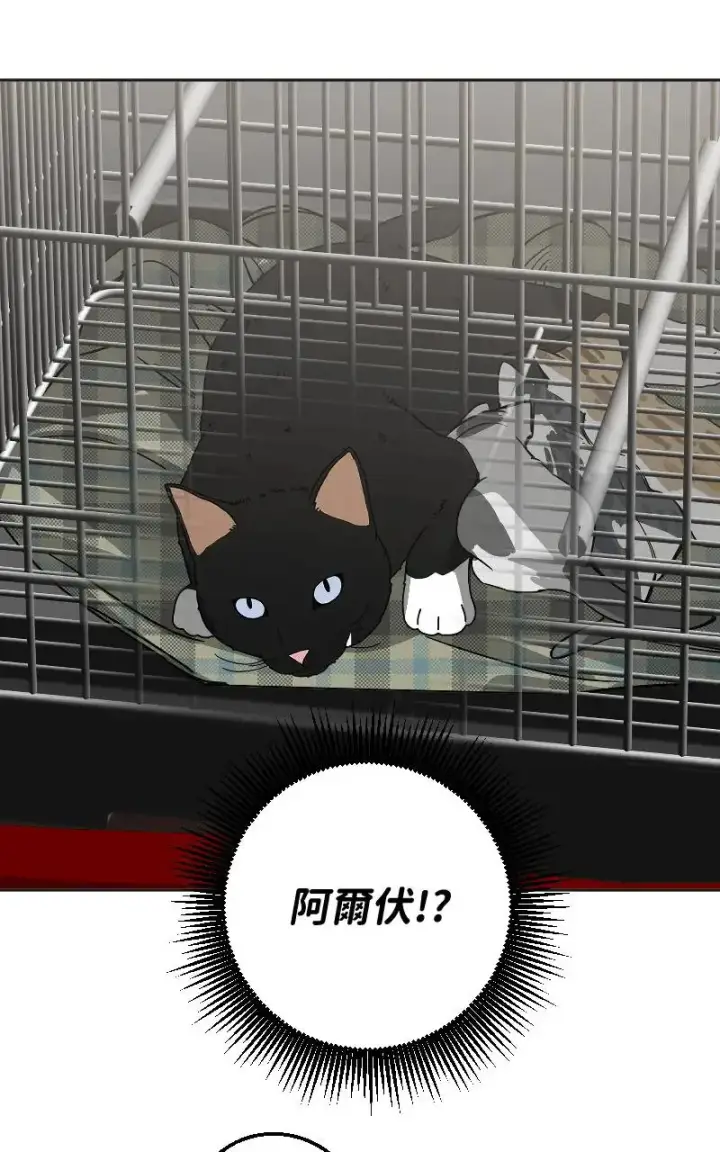 漫画《魔王先生有点奇怪》第45话第27张图