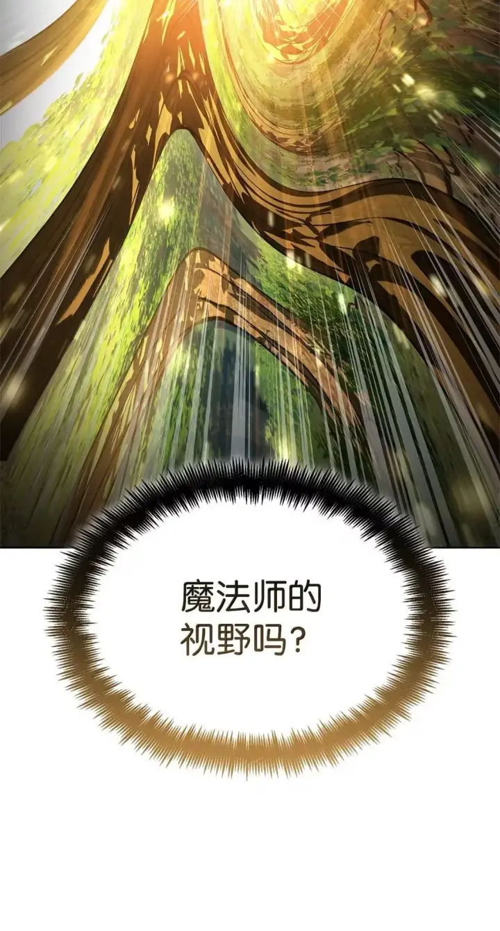 漫画《无限魔法师》108 天才平民第36张图