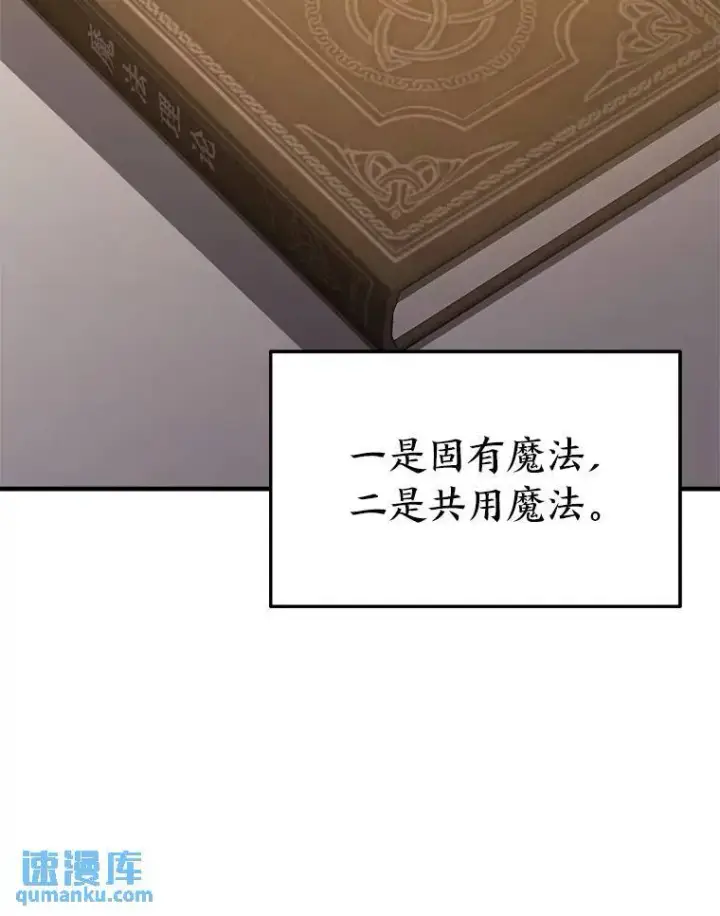 漫画《没药根本撑不住的魔法师》7.魔力图腾第72张图