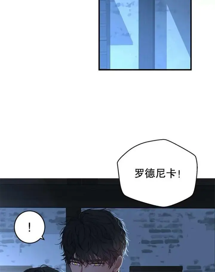 漫画《偶然开启女尊游戏》61.罗德尼卡的献身第2张图