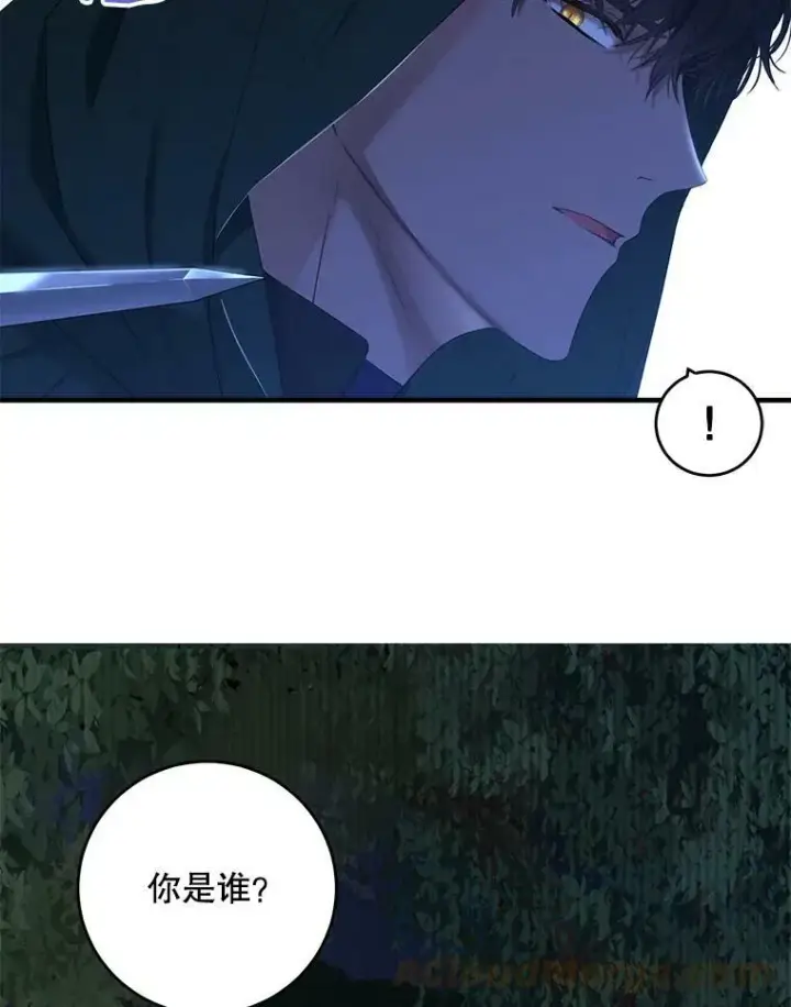 漫画《偶然开启女尊游戏》61.罗德尼卡的献身第55张图