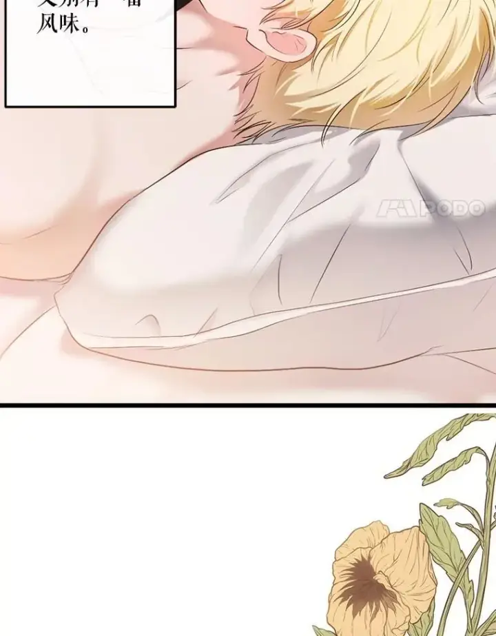 漫画《偶然开启女尊游戏》87.奖励第14张图
