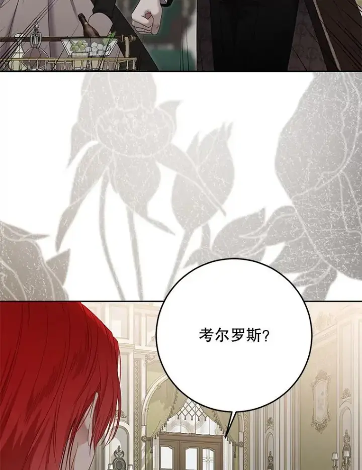 漫画《偶然开启女尊游戏》140.考尔罗斯的隐痛第58张图