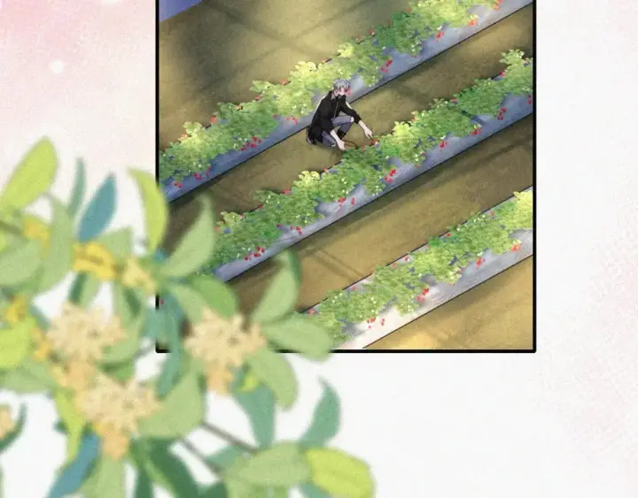 漫画《偏偏宠爱》第38话 校花第57张图
