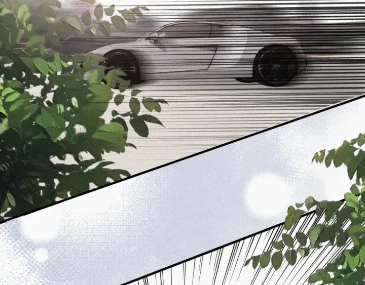 漫画《偏偏宠爱》第63话 疯狂第61张图