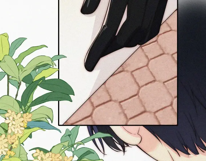 漫画《偏偏宠爱》第94话 他好笨第36张图