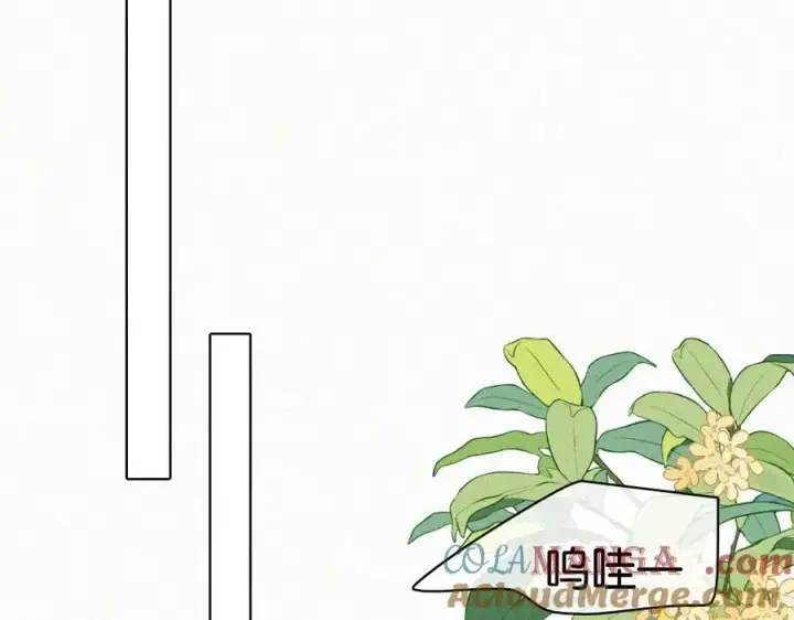 漫画《偏偏宠爱》第129话 两颗星星第43张图