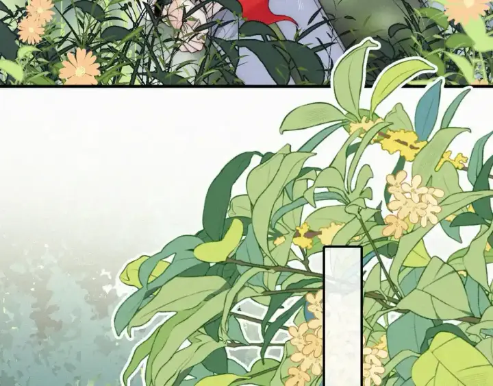 漫画《偏偏宠爱》第44话 许愿第41张图