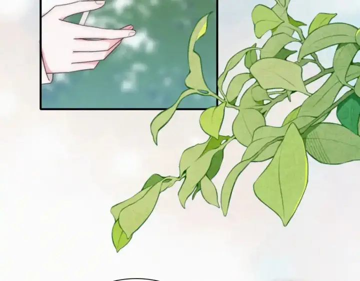 漫画《偏偏宠爱》第44话 许愿第66张图