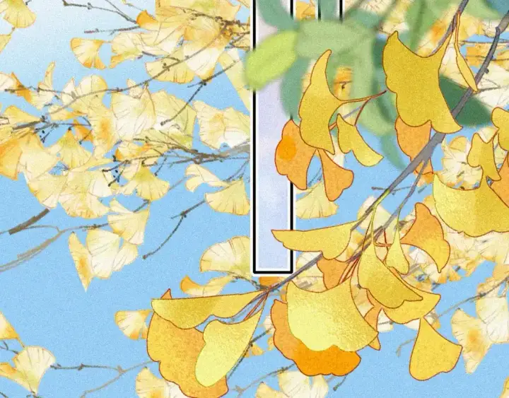 漫画《偏偏宠爱》第54话 别怕第50张图