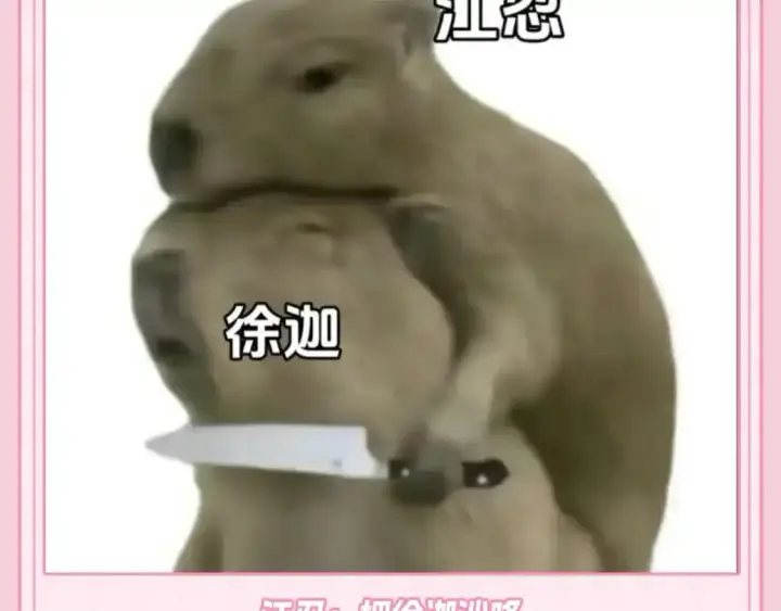 漫画《偏偏宠爱》第35期 搞点事：关于江忍的一些梗图第5张图