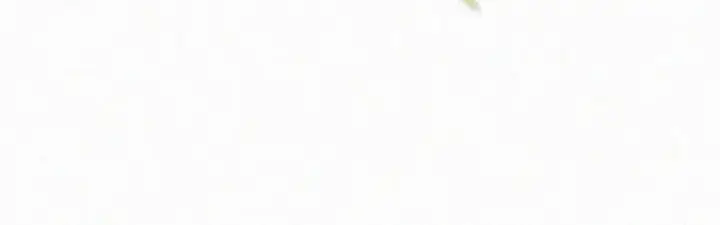 漫画《偏偏宠爱》第143话 大学第70张图