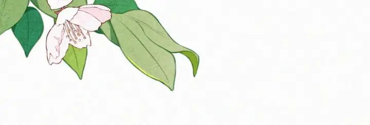 漫画《偏偏宠爱》第146话 我没钱第38张图