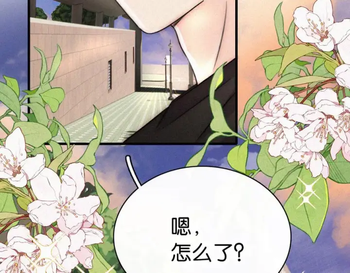 漫画《偏偏宠爱》第146话 我没钱第74张图