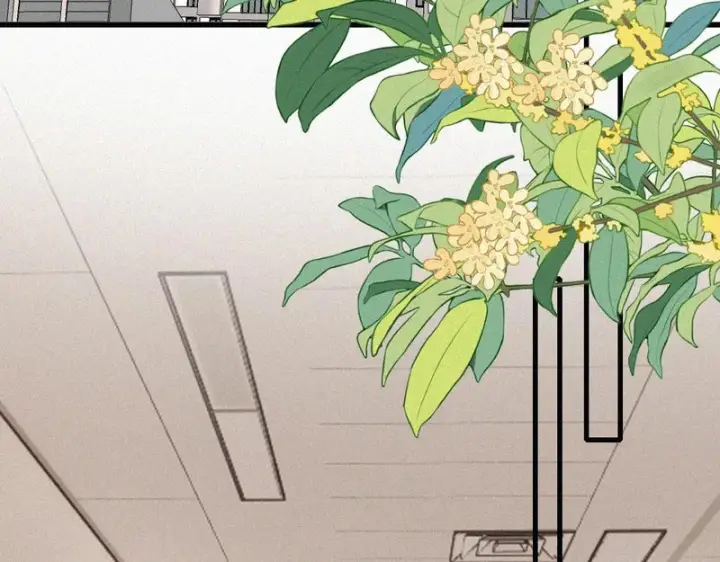 漫画《偏偏宠爱》第162话 全世界最好的都给她第14张图