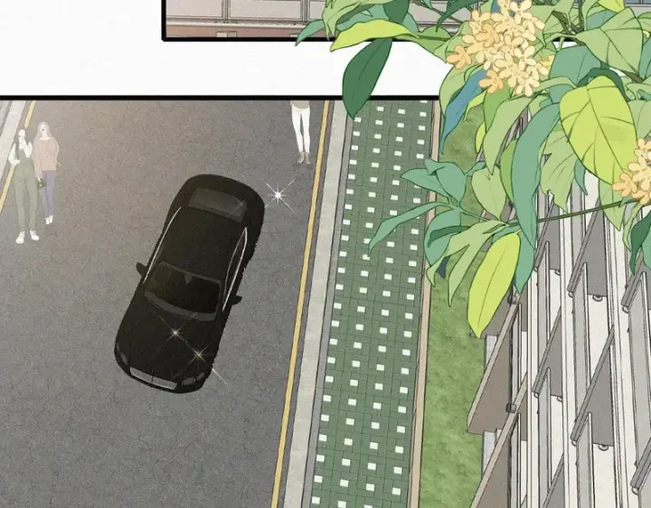 漫画《偏偏宠爱》第179话 新贵第35张图