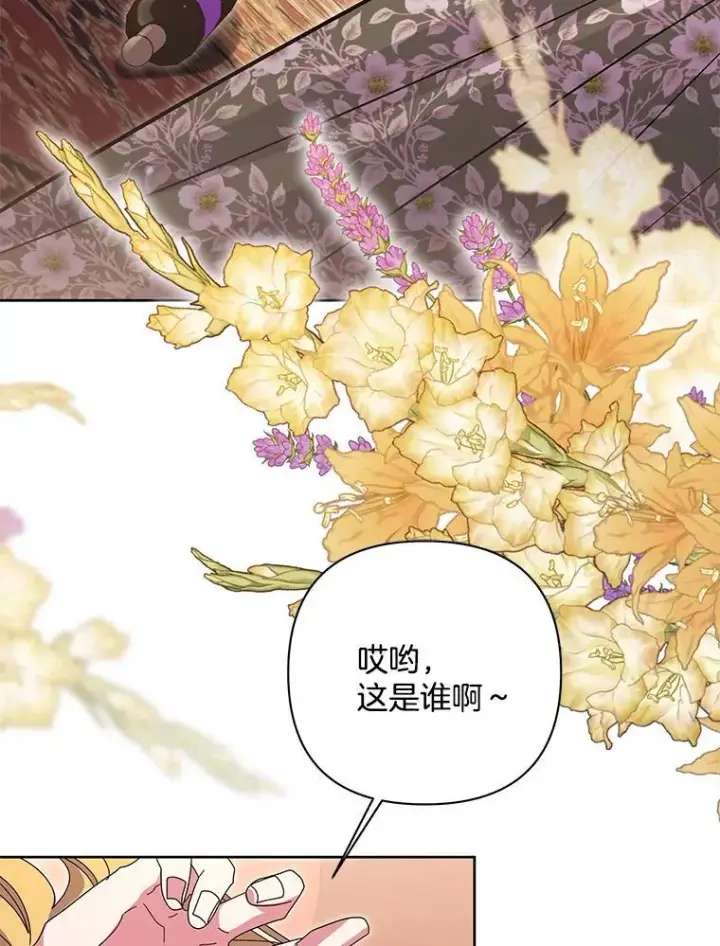 漫画《偏执男配疯掉了》50.去给我调查清楚第47张图