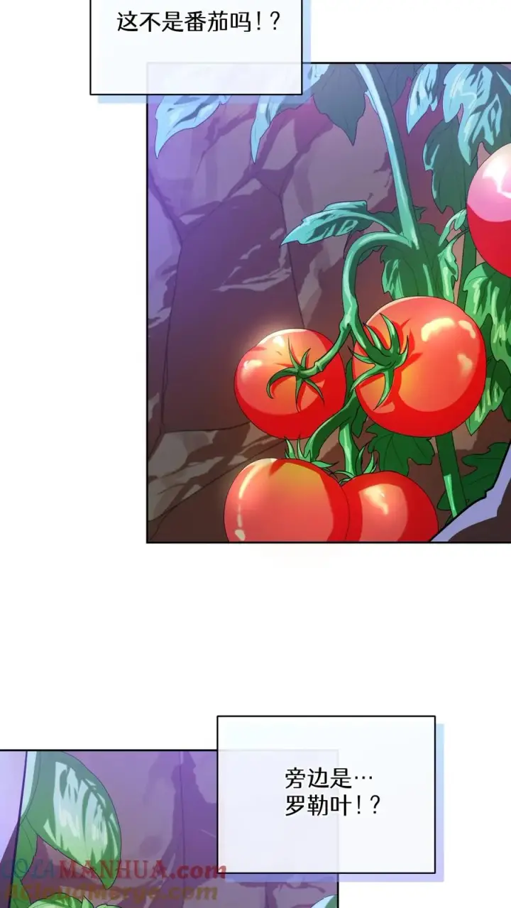 漫画《请您先用餐！》36. 海鲜番茄浓汤第58张图