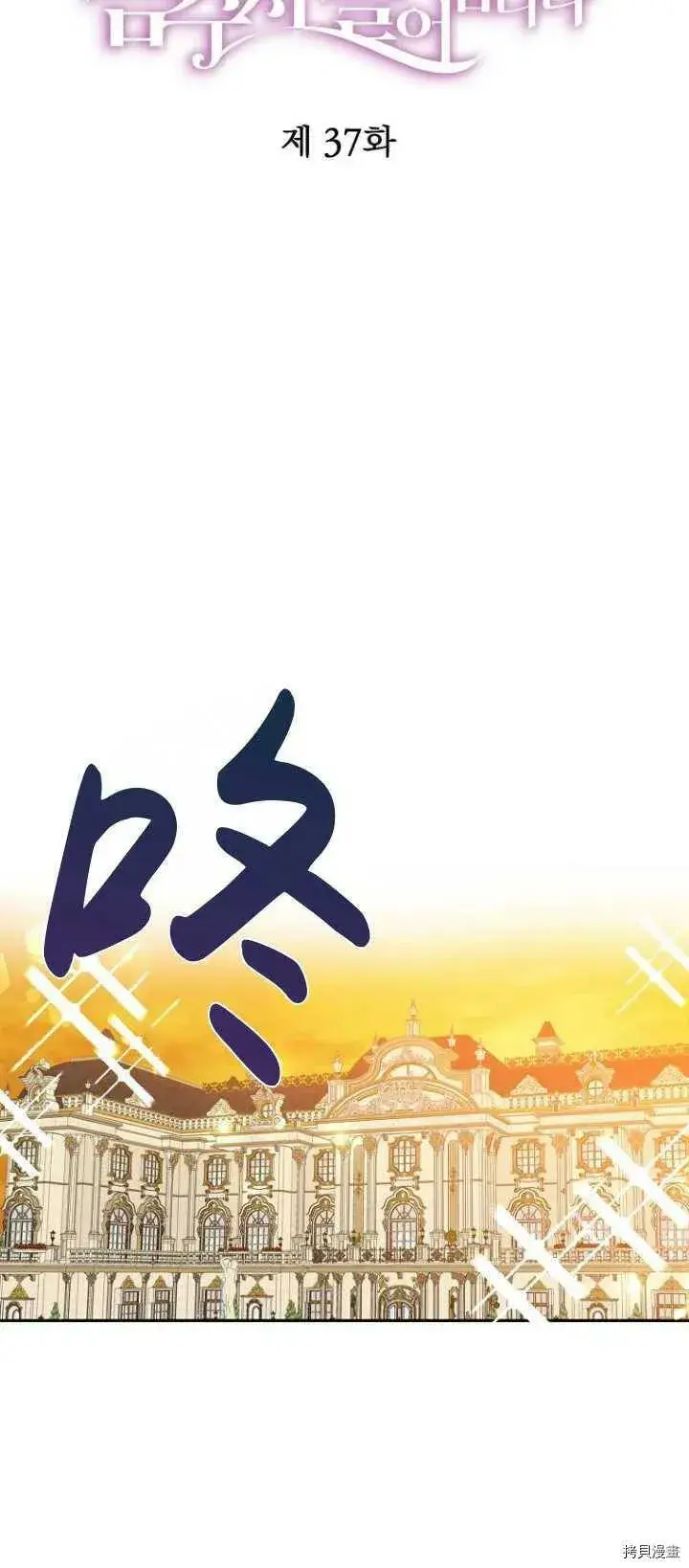 漫画《请张嘴，金汤勺来了》第37话第12张图