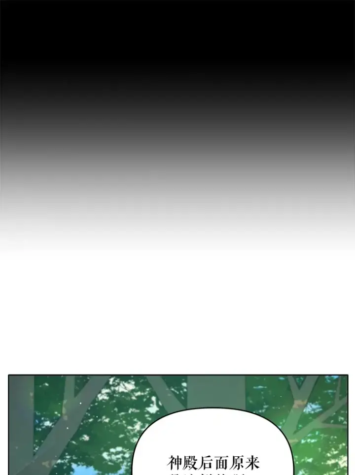 漫画《契约夫妻的每一夜》13.真假大神官第64张图