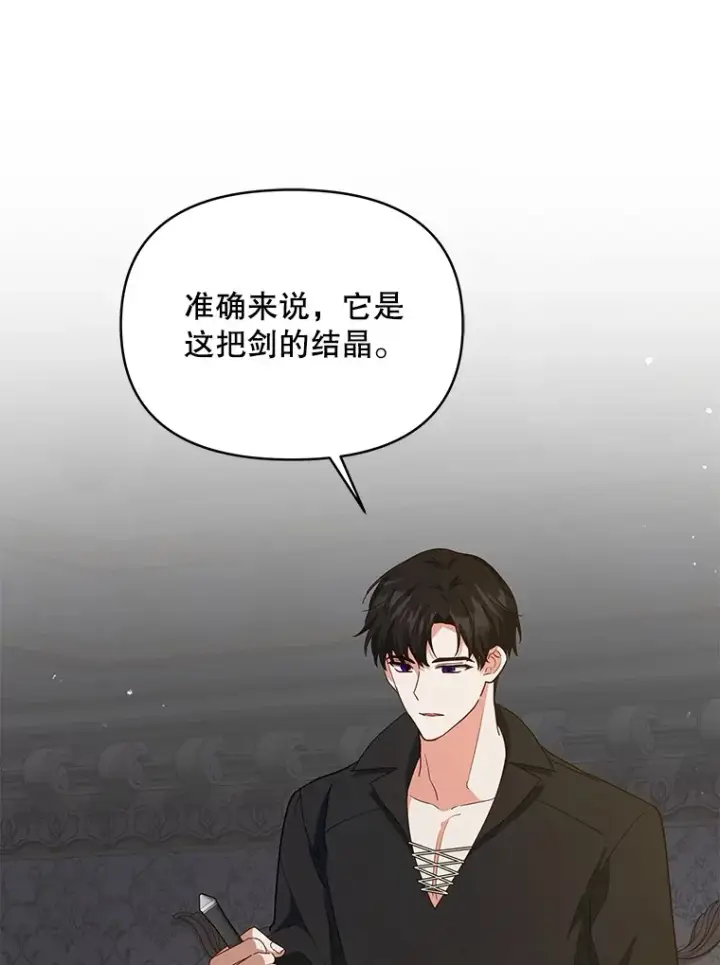 漫画《契约夫妻的每一夜》19.剑的结晶第93张图
