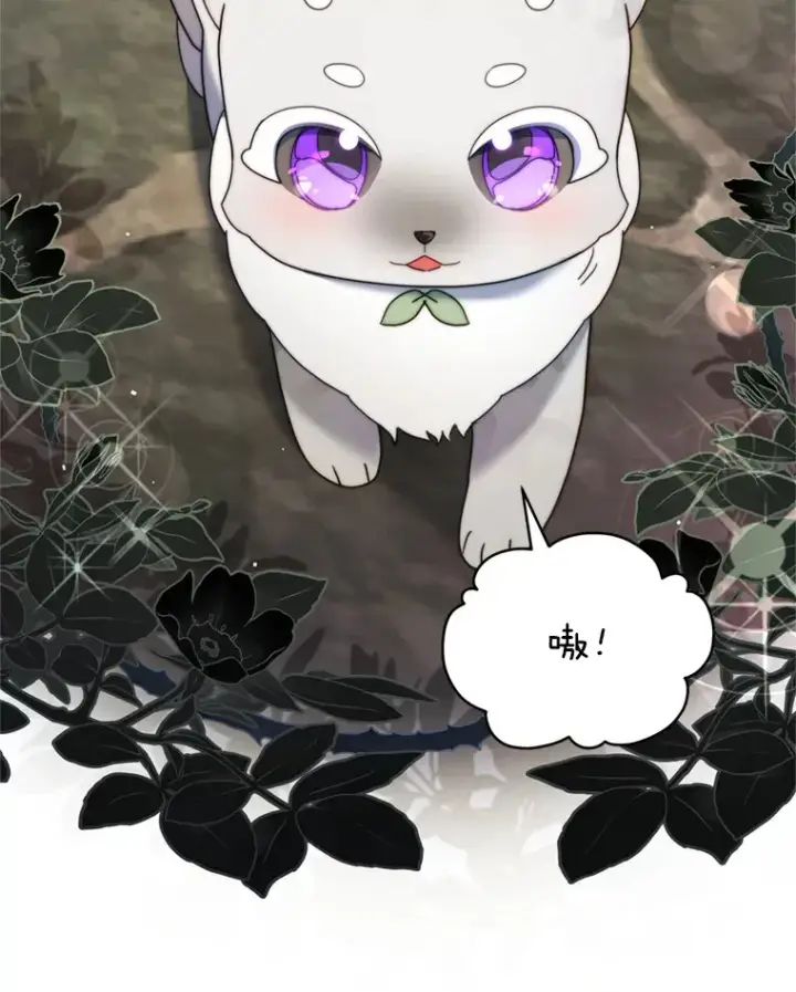 漫画《契约夫妻的每一夜》44.皇太子的疑问第48张图