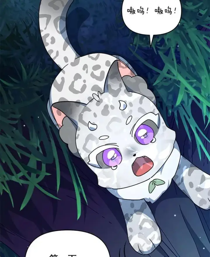 漫画《契约夫妻的每一夜》82.诅咒解除（完）第114张图