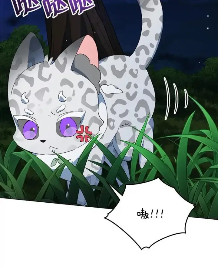 漫画《契约夫妻的每一夜》82.诅咒解除（完）第117张图
