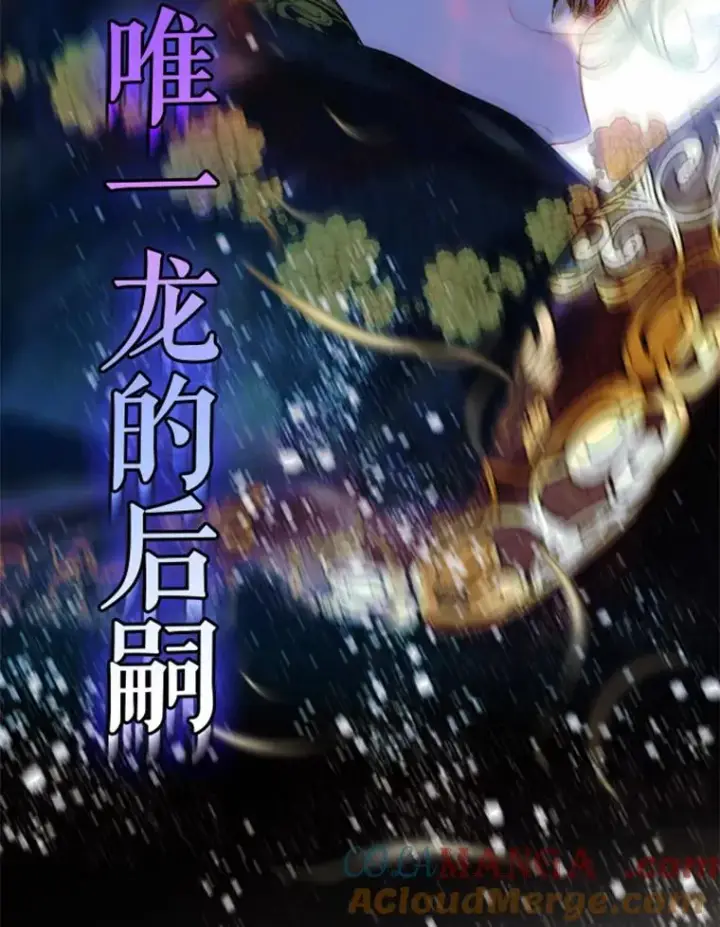 漫画《契约皇后的女儿》人物介绍第25张图
