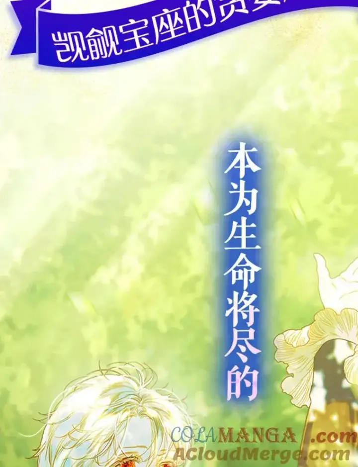 漫画《契约皇后的女儿》人物介绍第31张图