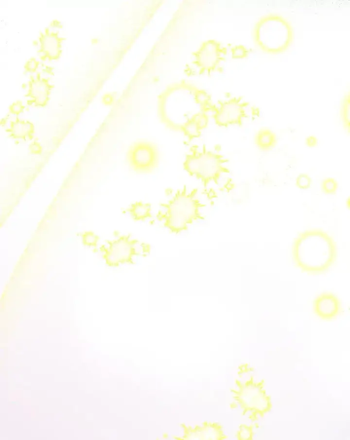 漫画《契约皇后的女儿》33.庭院的来历第12张图