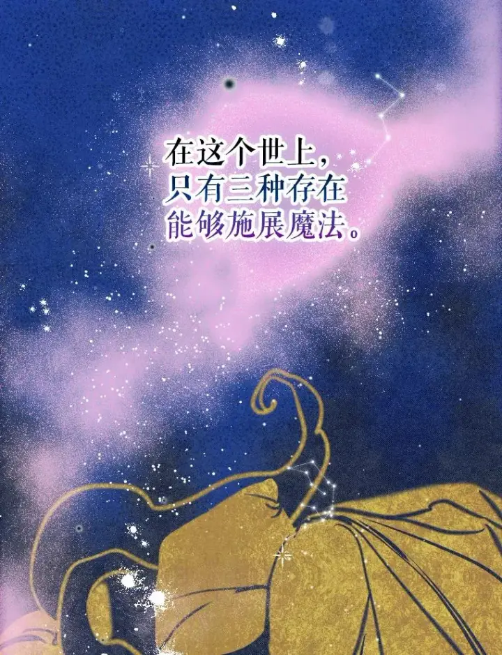 漫画《契约皇后的女儿》47.她是魔法师？第64张图