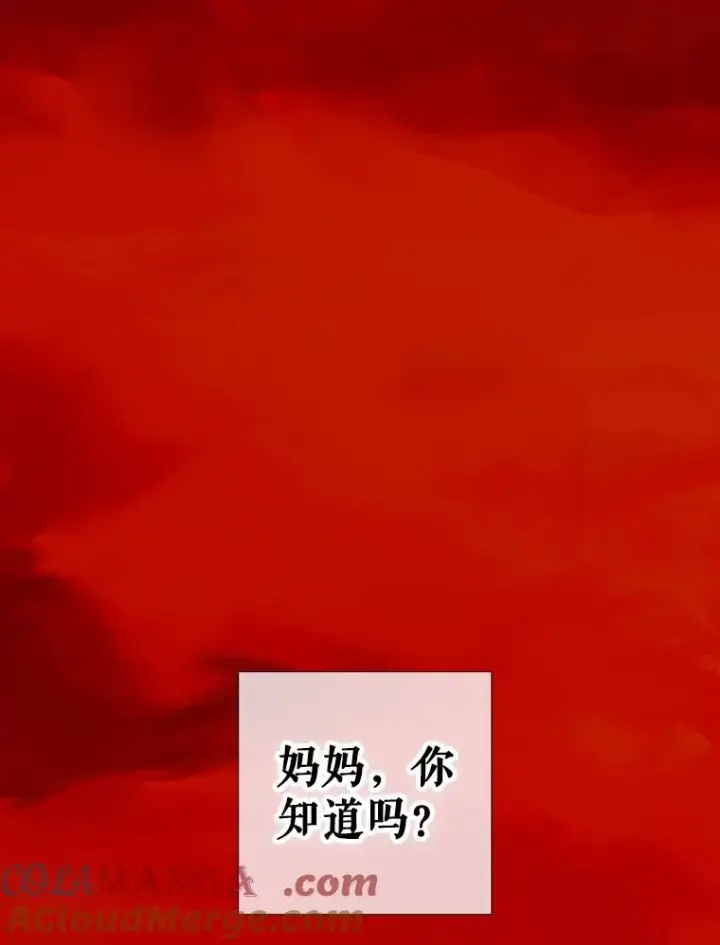 漫画《契约皇后的女儿》3.妈妈的谎言第101张图