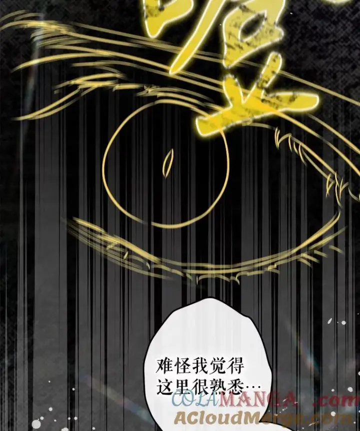 漫画《契约皇后的女儿》73.秘密地下室第101张图