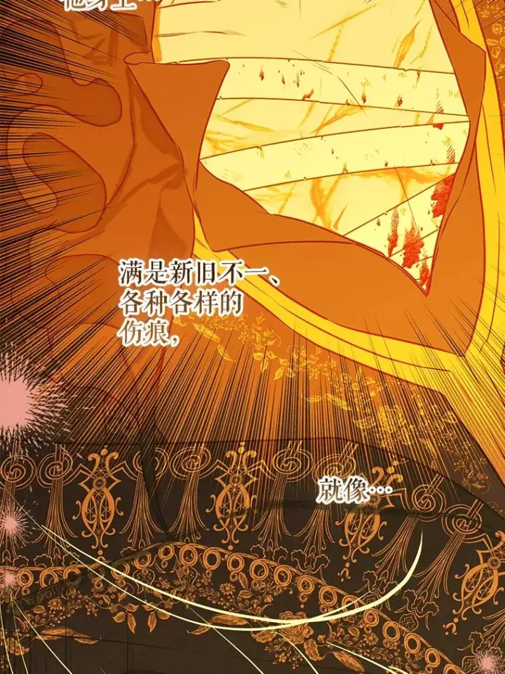 漫画《契约皇后的女儿》55.奇怪的伤痕第87张图