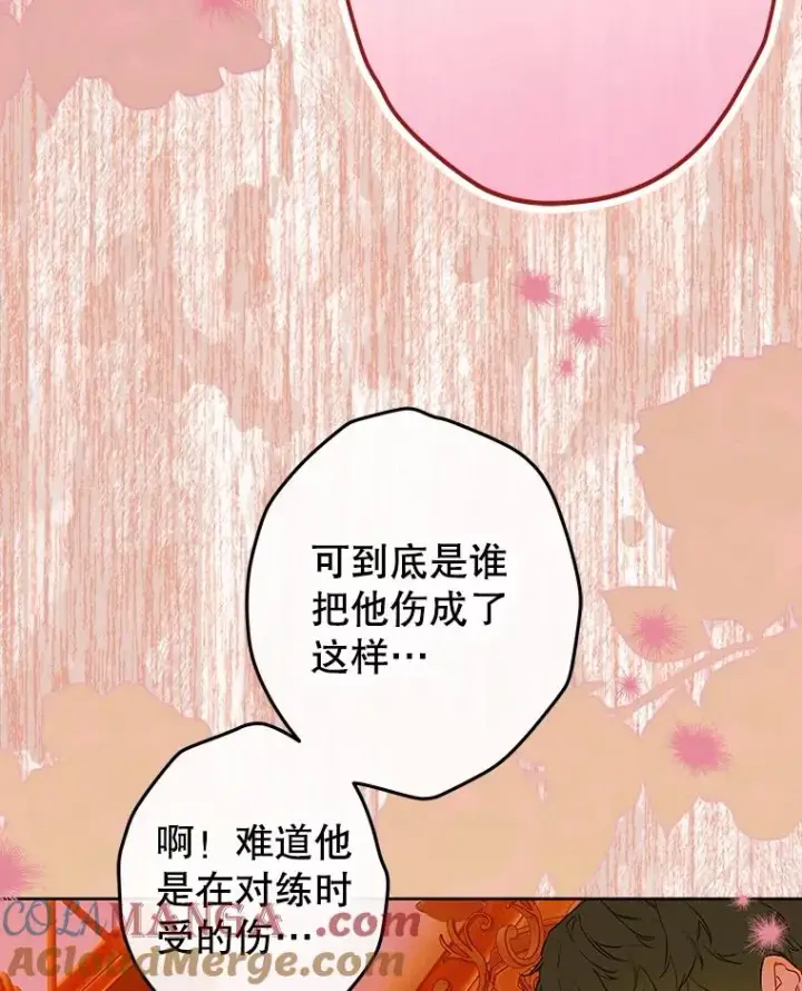漫画《契约皇后的女儿》55.奇怪的伤痕第93张图