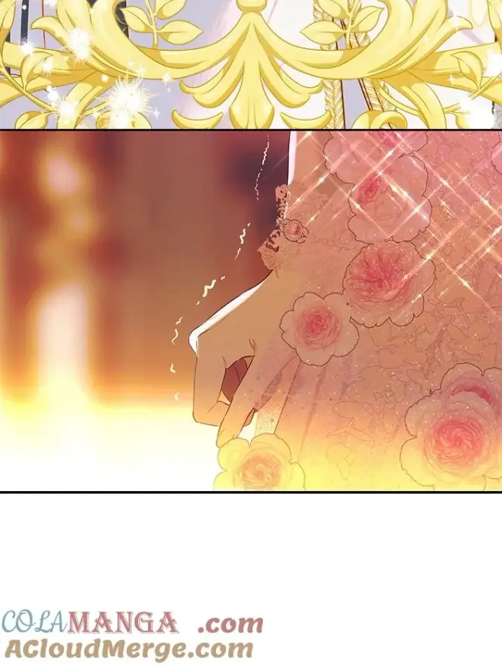 漫画《契约皇后的女儿》68.十岁生日第77张图