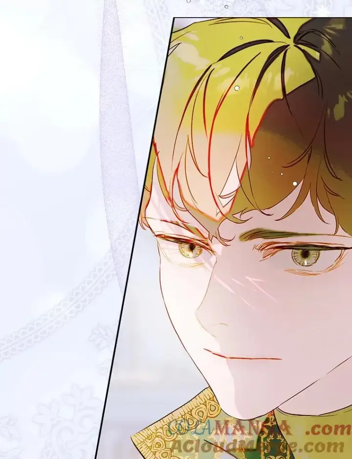漫画《契约皇后的女儿》69.生日礼物第73张图