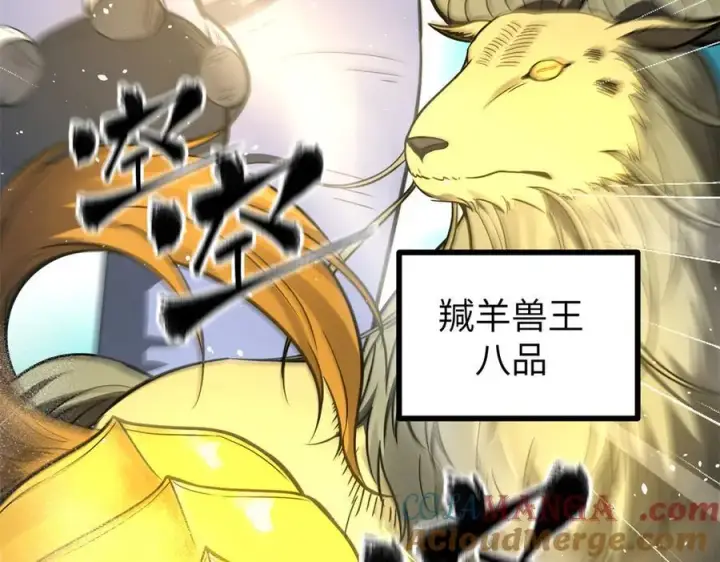 漫画《全球高武》294 刀斩八品第29张图