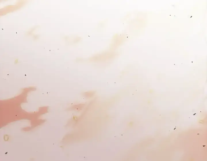 漫画《全知读者视角》153 无法解读（1）第70张图