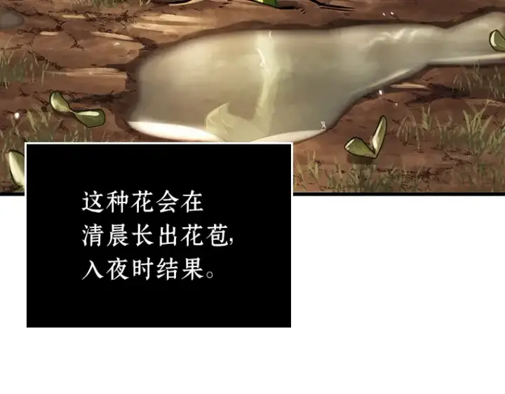 漫画《全知读者视角》181 任务的坟墓（4）第183张图