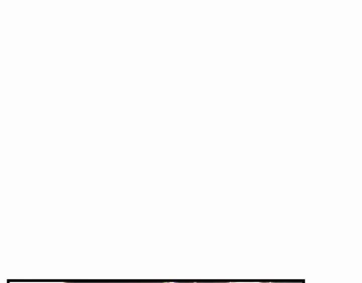 漫画《全知读者视角》310 读者的传说（12）第239张图
