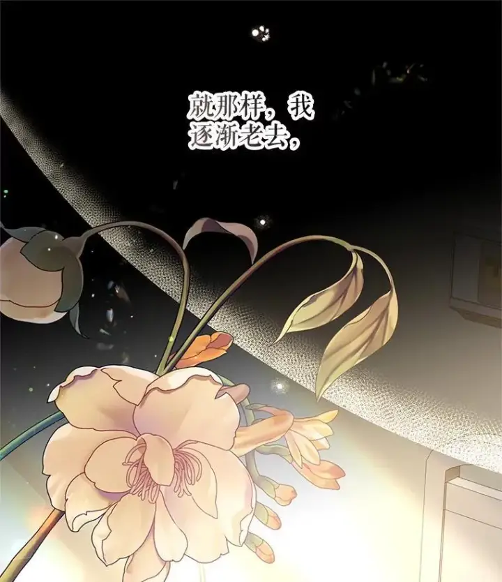 漫画《让我们转变剧情风格》104.尤蒂特中枪第95张图