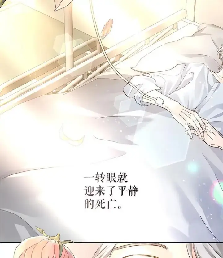 漫画《让我们转变剧情风格》104.尤蒂特中枪第96张图