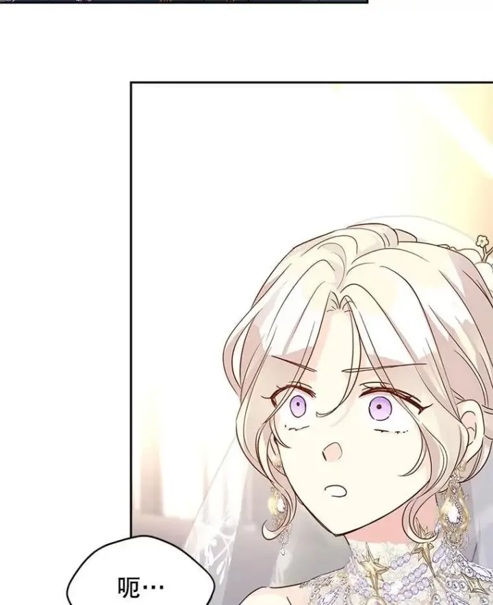 漫画《让我们转变剧情风格》119.婚礼第13张图