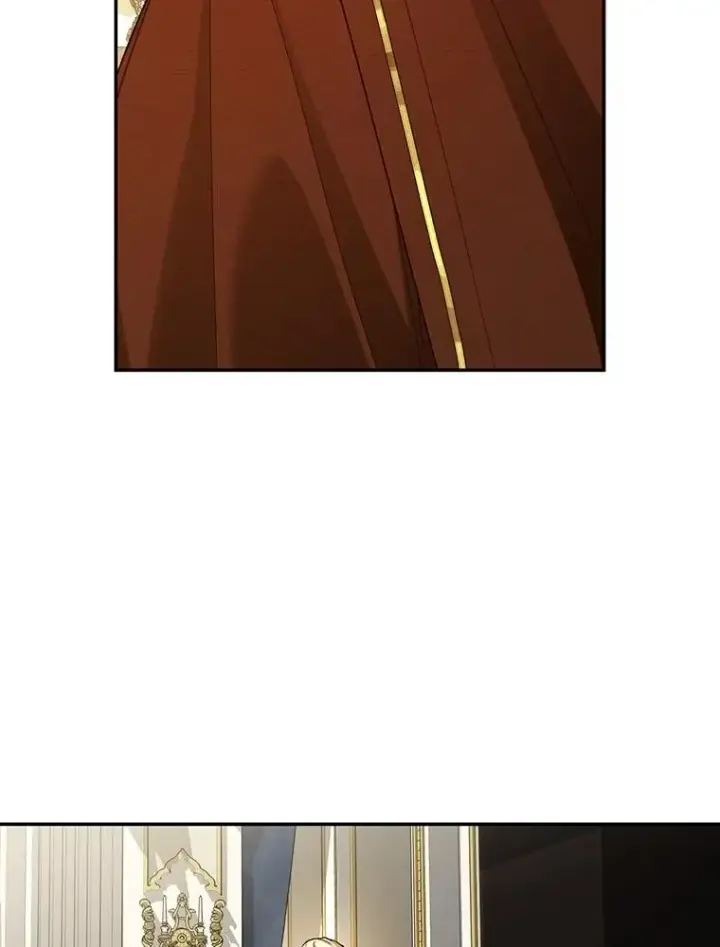 漫画《如何隐藏皇帝的孩子》95.母亲的日记第11张图